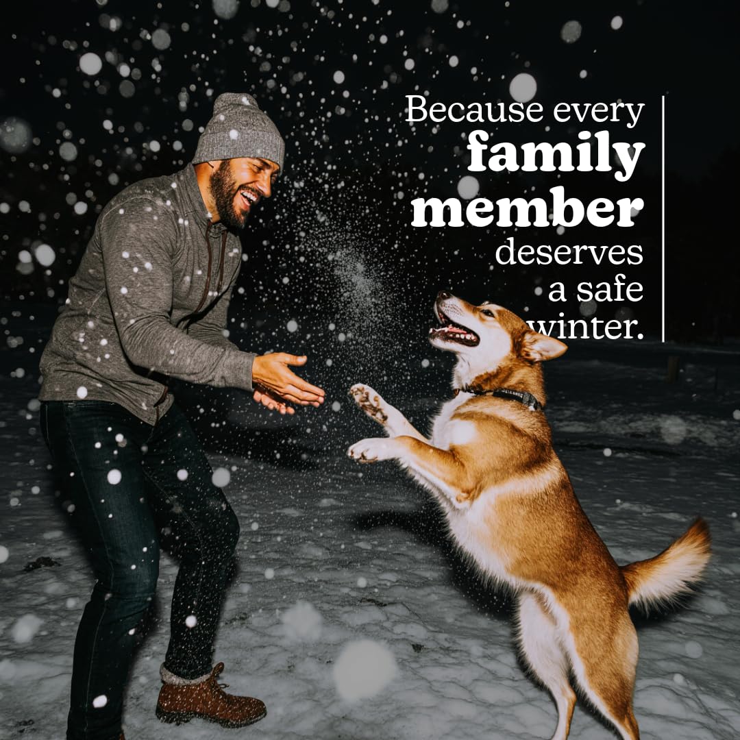 Man playing with a dog in falling snow at night.