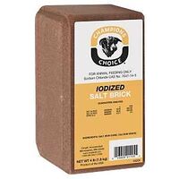 Champion's Choice Iodized Salt Brick 4 lb, reddish brick with a yellow label.