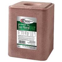 Champion's Choice Selenium 90 Trace Mineral Salt 50 lb block, reddish block with a green label.