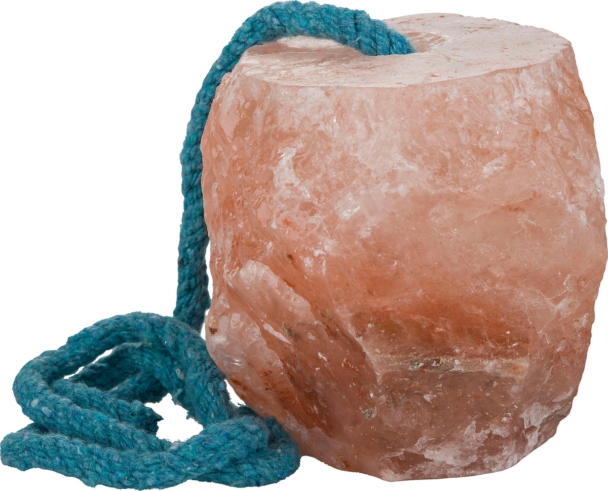 Gatsby Himalayan rock salt lick, a larger pink salt rock on a teal rope.