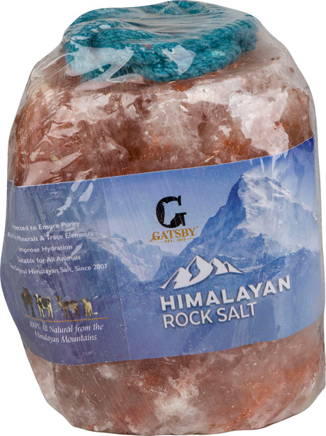 Gatsby Himalayan Rock Salt Lick With Rope 7 lb with Rope