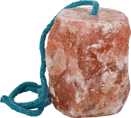 Gatsby Himalayan Rock Salt Lick With Rope 7 lb with Rope