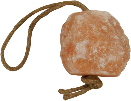 Horsemen's Pride Jolly Salt Snack Himalayan Salt Lick for Horses 2.2 lb