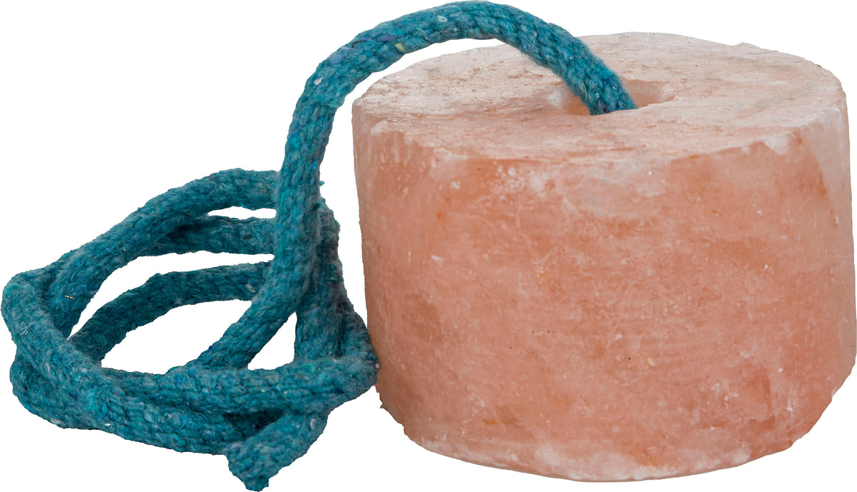 Gatsby Himalayan rock salt lick, a smooth round pink salt disc on a teal rope.