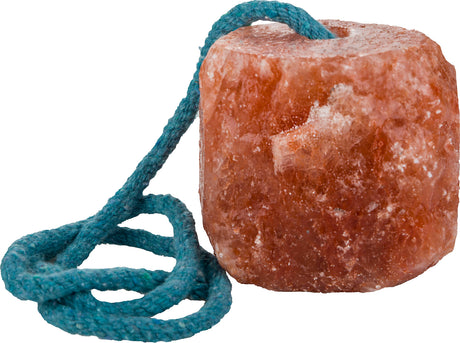 Gatsby Himalayan Rock Salt Lick With Rope 1 lb with Rope