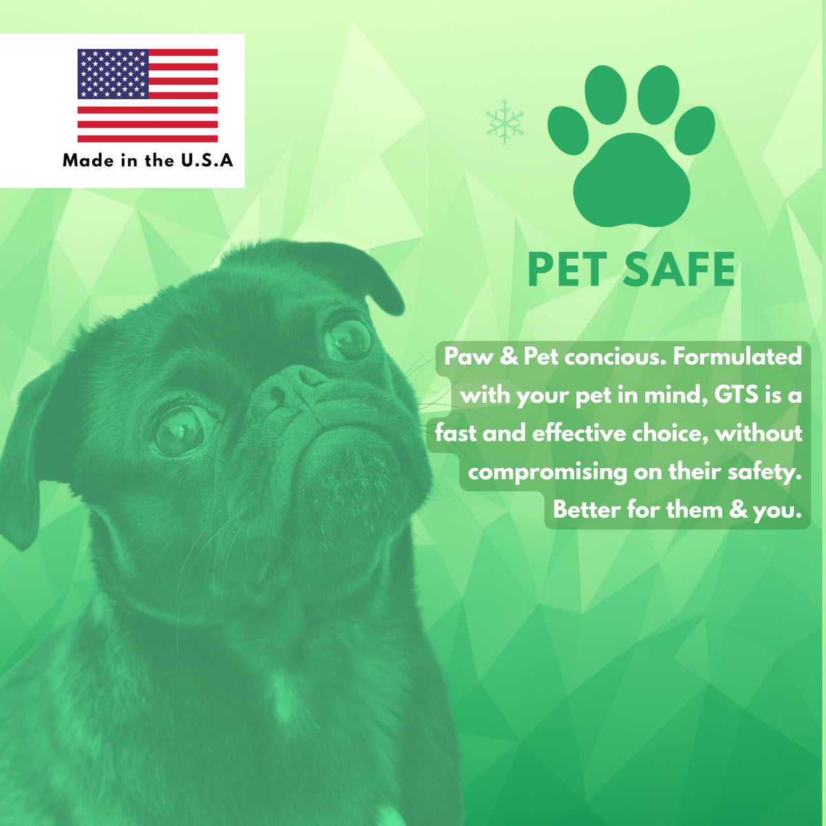 GTS graphic with a pug, printed made in the USA.