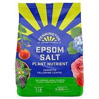 Pennington Epsom Salt Plant Nutrient 7 lb bag, magnesium and sulfur for tomatoes, peppers and roses