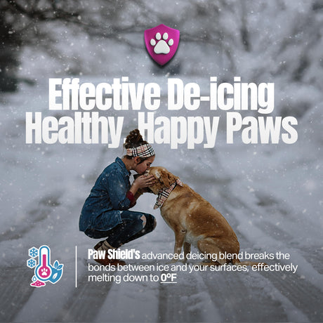 Paw Shield pet-friendly CMA and corn steep ice melt 12 lb jug, pink granules that melt below zero, view 5