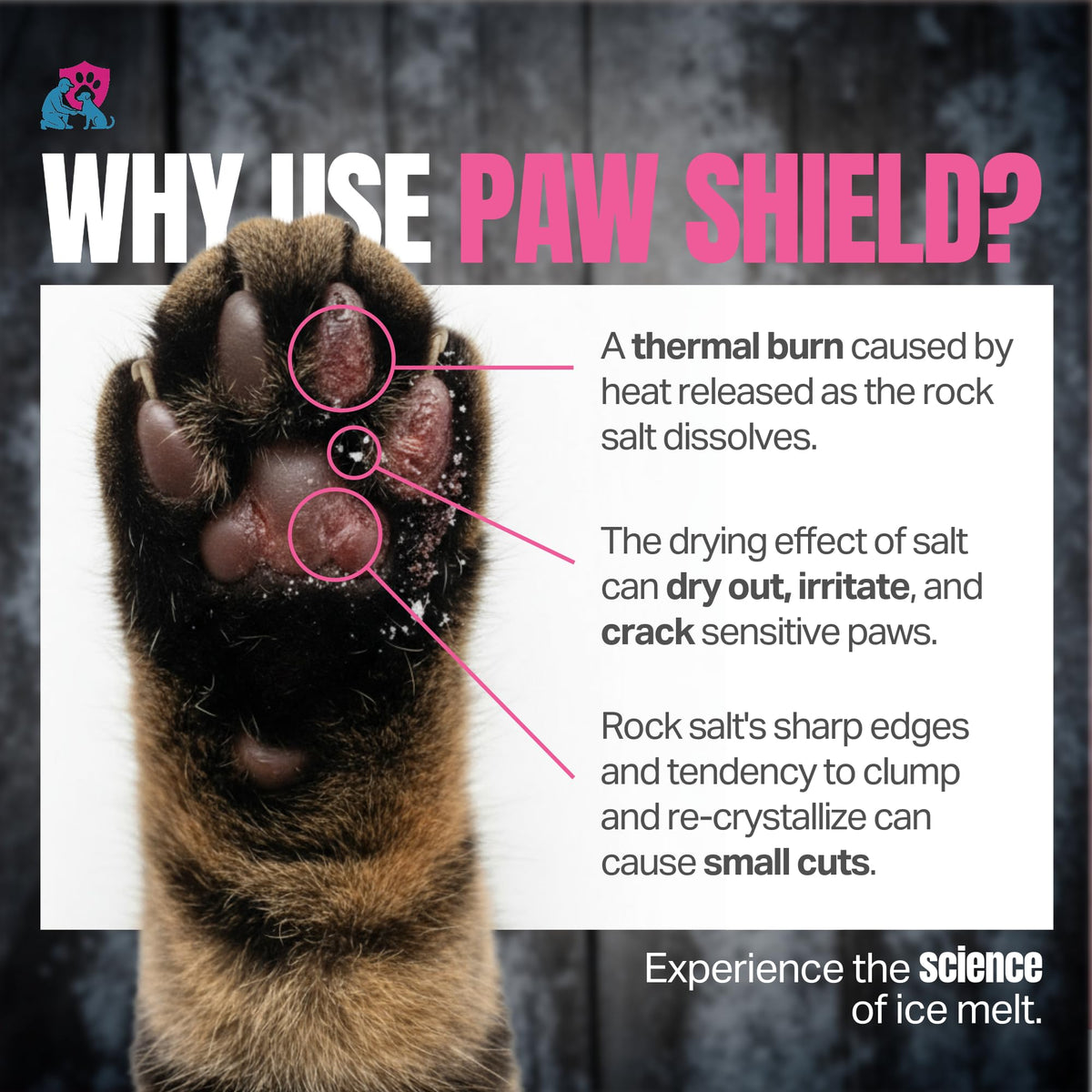 Close-up of a dog's paw pad, text why use Paw Shield.